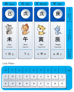 bazi chart example